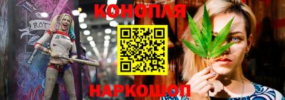 спиды Бийск
