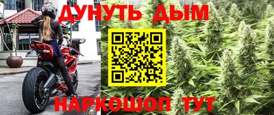 спиды Бийск