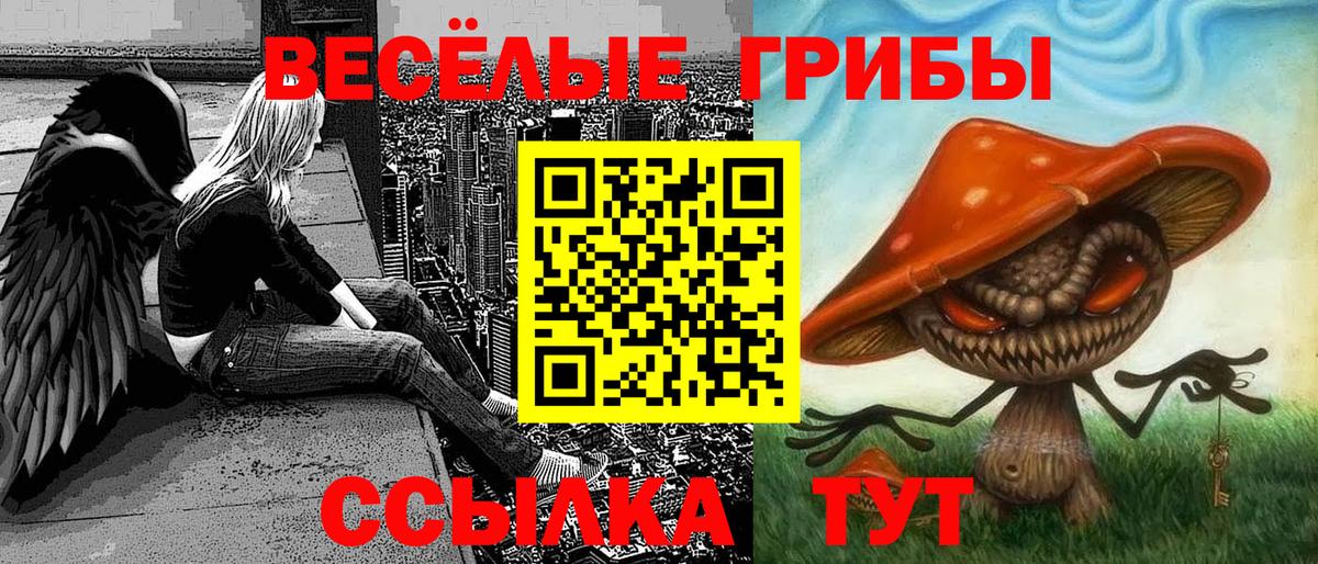 Псилоцибиновые грибы прущие грибы  Галлюциногенные грибы прущие грибы  Вход с VPN  Горно-Алтайск 